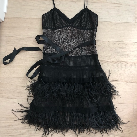 BCBGMaxAzria Black Lace Ostrich Feather Dress BCBGMaxAzria Black Lace Ostrich Feather Dress